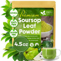 Soursop Leaves Tea Version 2