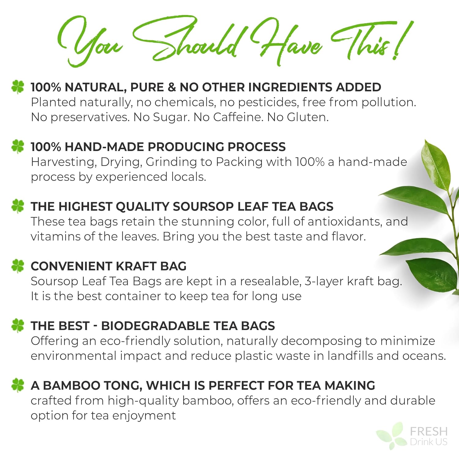 Soursop Leaves Tea Version 2
