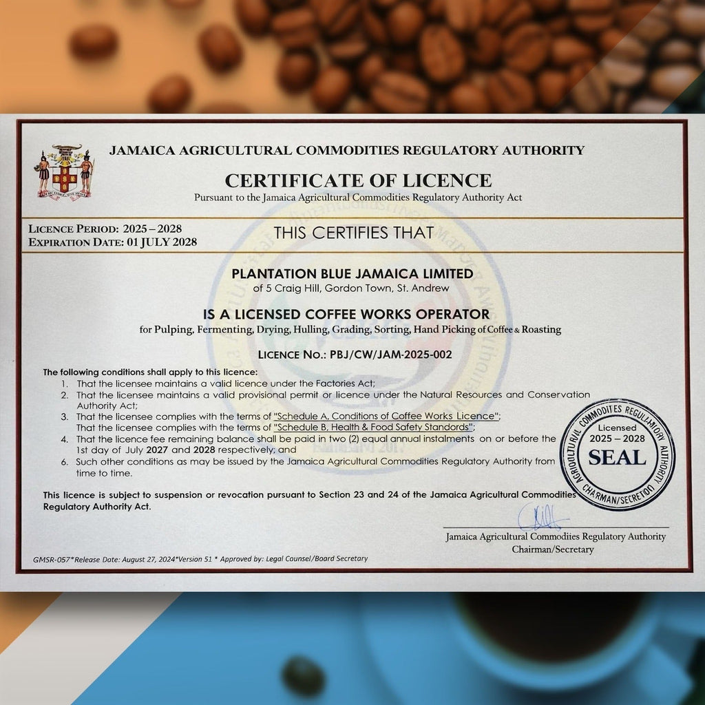 Plantation Blue 100% Jamaica Blue Mountain Premium Coffee (16 oz - medium roasted whole beans)